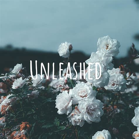 Unleashed • A podcast on Spotify for Podcasters