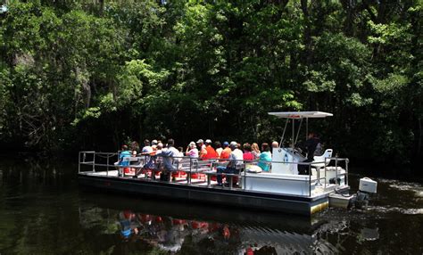 Homosassa Florida - Things to Do in Homosassa Florida