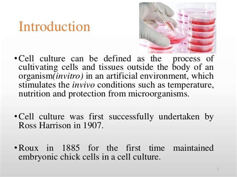 Animal cell culture techniques