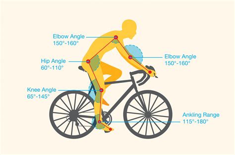 How to ride a bike: A Beginner's Guide - AltRiders