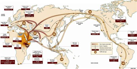 Homo Sapien Migration