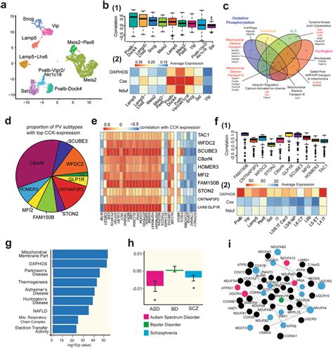 Dysregulation of OXPHOS gene expression is associated with psychiatric ...