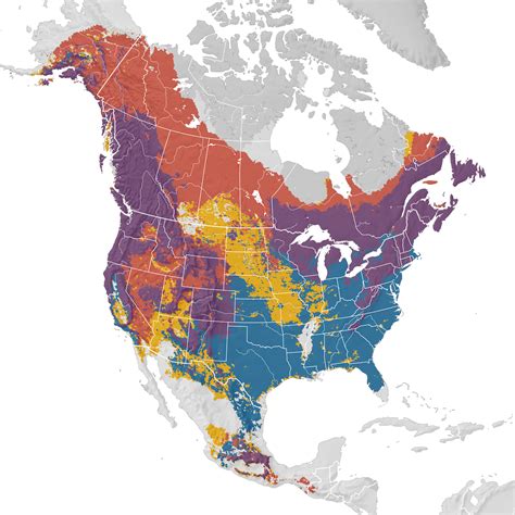 Pine Siskin - Range map - eBird Status and Trends