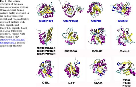 The tertiary structures of the main domains of casein proteins, 10... | Download Scientific Diagram