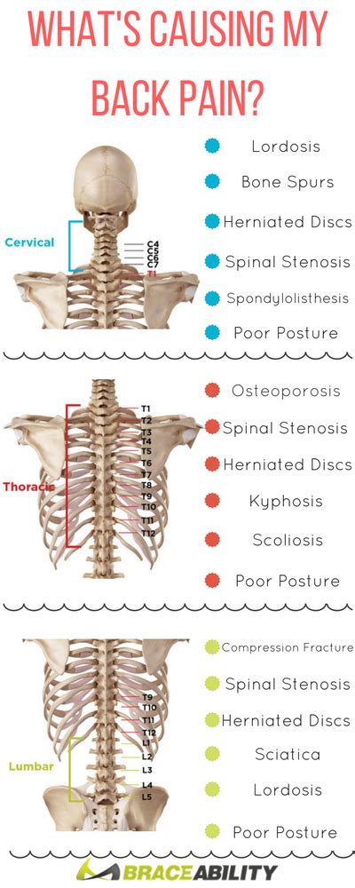 Pin on Back Injuries & Spine Disorders | What's Causing my Back Pain? Lower, Middle, & Upper ...