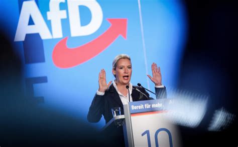 German far-right party leaders planned mass deportation laws with neo-Nazis