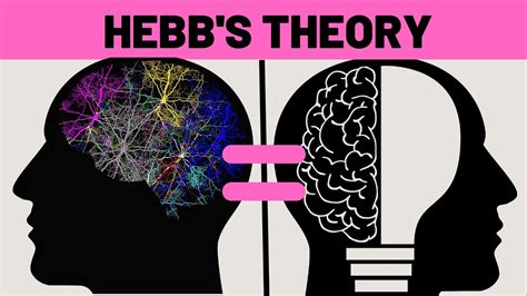 Hebb's Theory Explained - YouTube