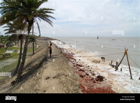 INDIA, West Bengal, Ganges river delta Sundarbans , Sagar Island ...