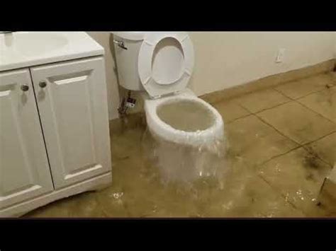 Flooded Toilet in New York Floods - YouTube