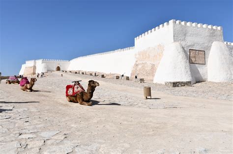 Mise en Patrimoine de la Kasbah d'Agadir Oufella - Découvrez l'Histoire de ce Site Emblématique