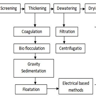 (PDF) A Review on the Harvesting Techniques of Algae for Algal Based Biofuel Production