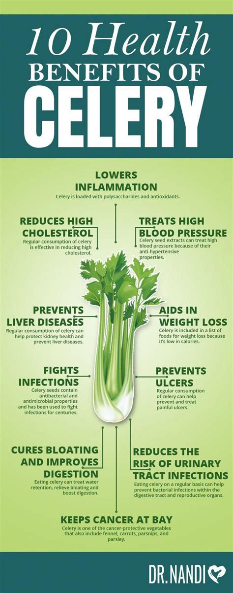 10 Super Health Benefits of Celery in 2020 | Celery benefits, Celery benefits health, Health ...