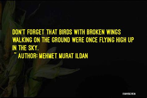 Top 2 Flying With Broken Wings Quotes & Sayings