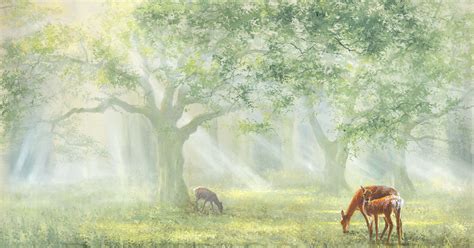 Forest Deer painting celebration of nature and wildlife art