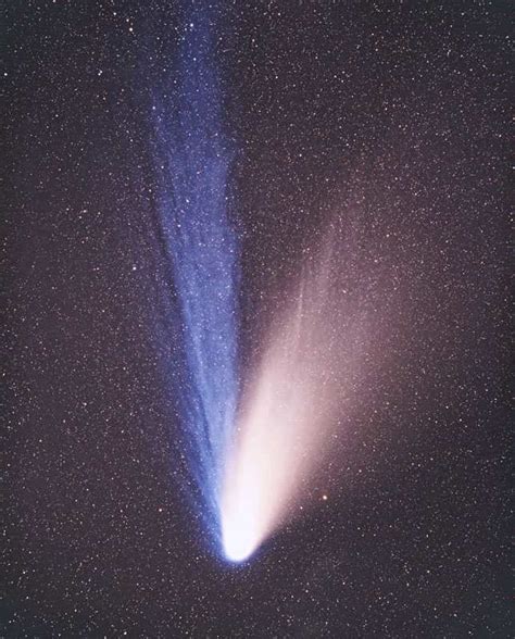 1: The Hale-Bopp comet close to the Sun. Two tails are visible: the... | Download Scientific Diagram