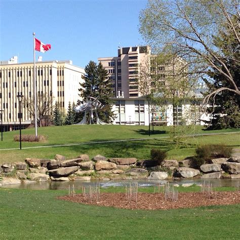 UNIVERSITY OF CALGARY (2024) All You Need to Know BEFORE You Go (with Photos) - Tripadvisor