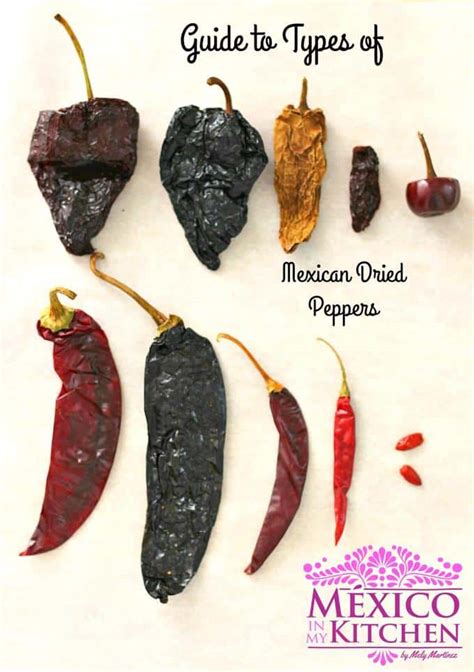 Guide to Mexican Dried Peppers Part II