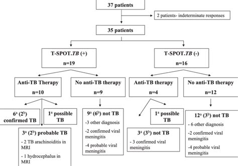 Schematic flowchart of the relationship of the ELISPOT assay results to ...