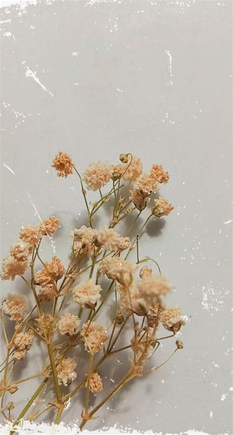 Baby Breath ️ | Vintage flowers wallpaper, Flower aesthetic, Green ...