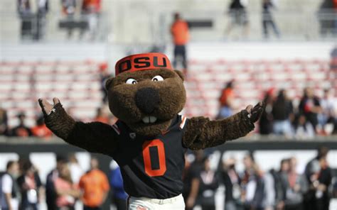 AP Preseason Top-25: Oregon State Beavers Ranked No. 18 - 750 The Game