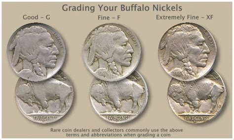 Buffalo Nickel Value Discovery