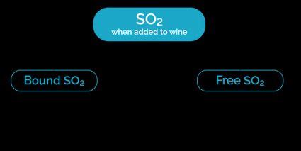 SO2 Wine Calculator