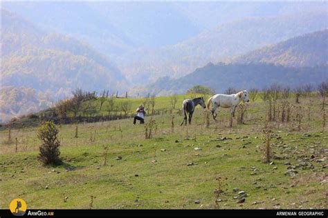 Hiking Trails in Dilijan National Park - Armenian Geographic