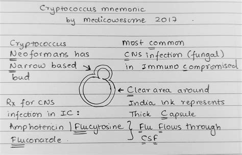 Medicowesome: Cryptococcus neoformans notes and mnemonics