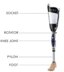 Lower Limb Prosthetic Introduction - Physiopedia