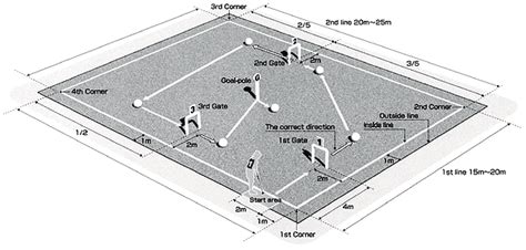 日本財団図書館（電子図書館） What's Gateball?（英語）