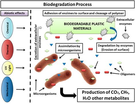 Polymers | Free Full-Text | Methodologies to Assess the ...