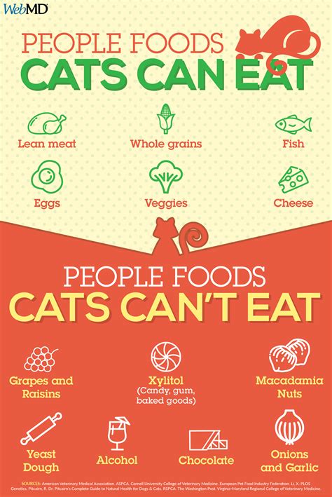 Can you give your cat table scraps? Find out which foods are safe to feed your feline -- and ...