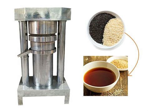 Sesame Oil Press Machine | Hydraulic sesame cold oil extraction machine