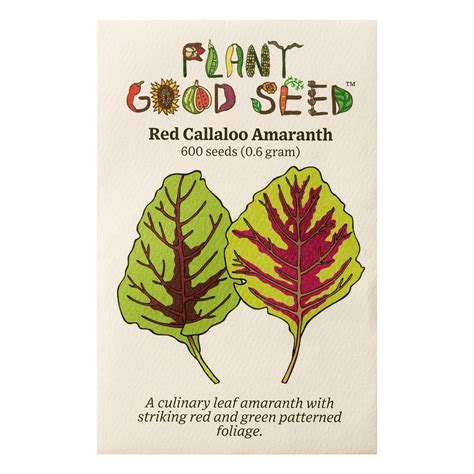 Red Callaloo Amaranth Seeds - The Plant Good Seed Company