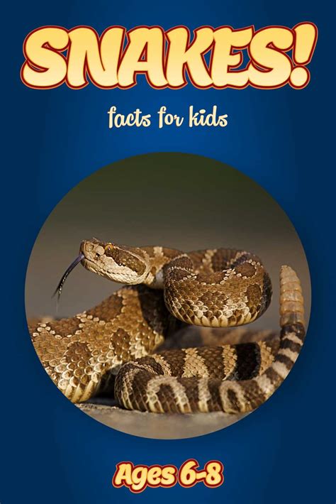 Snake Facts – Kids Non Fiction Book (Ages 6-8) – clouducated