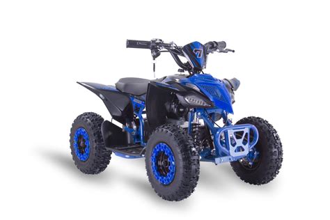 Fun Bikes Electric Quad | lupon.gov.ph