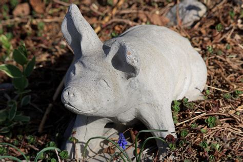 Free picture: pig, garden, sculpure, figurine, handmade, cement