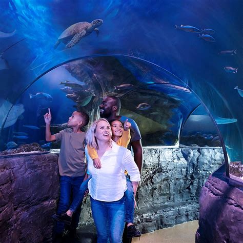 Visit SEA LIFE Hunstanton Sanctuary and Aquarium