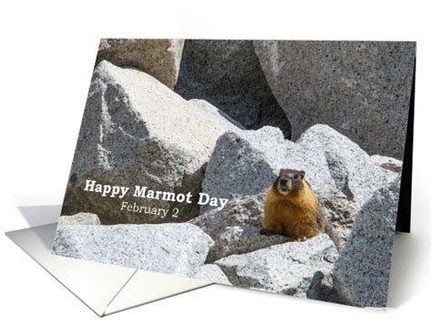 Happy Marmot Day February 2 Animal Rocks Nature Photography card