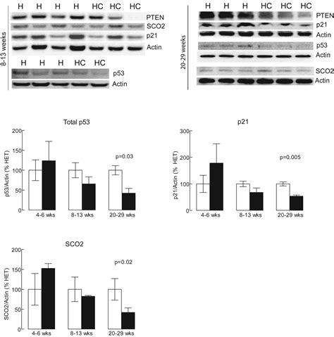 (PDF) Figure S3