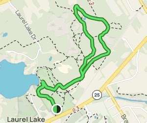 Laurel Lake Trail: 198 Reviews, Map - New York | AllTrails