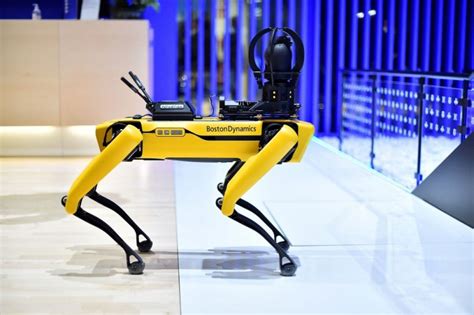 Self-Teaching Robot Dog Can Walk, Roll Over, Navigate Obstacles in Just One Hour of Training ...