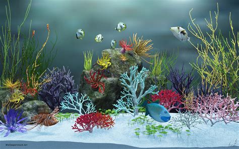 Animated Aquarium Desktop Wallpaper (53+ images)