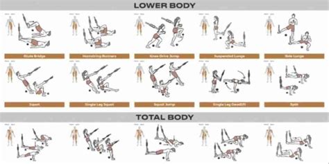 Trx Workout Plan | EOUA Blog