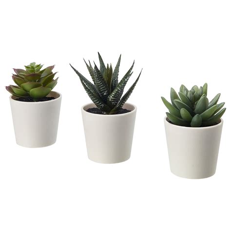 FEJKA artificial potted plant with pot, indoor/outdoor Succulent, 6 cm3 ...