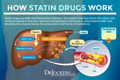 Statin Drug Side Effects: Symptoms and Support Strategies