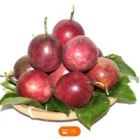 Jual buah markisa ungu - Kab. Kuningan - Gaya Baru Unik | Tokopedia