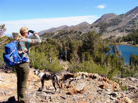 Virginia Lakes Trail - Don't Miss This Beautiful Sierra Nevada Hike ...