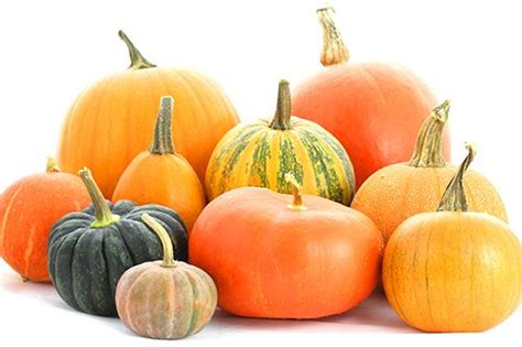 The Best Heirloom Pumpkin Varieties for Cooking - Blog