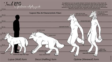 werewolf types | Werewolf aesthetic, Werewolf art, Creature feature